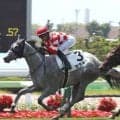 【函館５Ｒ・２歳新馬】６番人気セタキトが逃げ切りＶ　鷲頭騎手は今年２勝目　「逃げるプランに切り替えました」