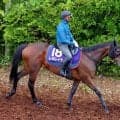 【宝塚記念】「残念ながら馬場コンディションが...」レガレイラは７着　ルメール騎手は直前の大雨に恨み節...