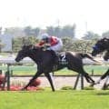 【函館日刊スポーツ杯】１番人気の３歳牝馬マーブルパレスが好枠を生かし快勝　「いい内容で勝ってくれてほっと」
