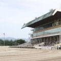 【水沢・ウイナーC結果】ベアコルムが移籍後5連勝で重賞初制覇
