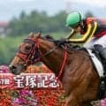 【新馬/阪神5R】エフフォーリア産駒インカルナータがデビューV…断然人気ダイナマイク敗れる