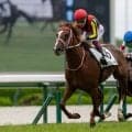 【阪神4R】チェルヴィニアの半弟・チェルヴァーラが初勝利、人気に応える快勝