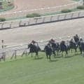 「こんなに強いんか」約10カ月ぶり復帰の素質馬、いきなり“余裕勝ち”圧巻レースにファン騒然「モノが違う」