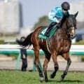 府中牝馬SとしらさぎSの2重賞/今週の競馬界の見どころ
