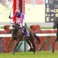 【小島太元調教師の競馬ジャーナル】運も味方につけたメイショウタバル、大雨で渋った馬場で脚を温存できたのが大きかった