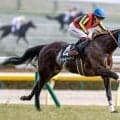 【府中牝馬S見どころ】牝馬限定戦なら力上位のヴァルキリーバース