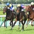 米子S→しらさぎSの勝ち時計ランキング 1位は単勝93.1倍の波乱V