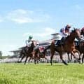 【仏オークス】凱旋門賞候補ダイヤモンドネックレスV！オブライエン師は英愛仏クラシック今季7勝目