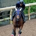 【しらさぎＳ・松ケ下の特注馬】前走で段違いの末脚を見せたスイープアワーズ　初重賞挑戦でも血統的にも楽しみ
