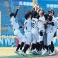 2年連続日本一へ、「阪神ジュニア」が18日から選手募集　1次は動画…3段階で選考