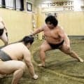 大相撲の１９歳ホープが十代関取目指す、竜鳳「上がれるなら早い方がいい」