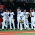生保→西武入社…要望を即座に反映して球団アプリ刷新　開発担当者が語るファンサービスのアプデ