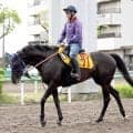 【府中牝馬Ｓ】前走Ｖに田中博師も驚くヴァルキリーバース　シックスペンス、フィンガーでＧ１制覇の勢いに乗る