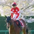 【府中牝馬Ｓ】東京１８００メートルはお任せ！充実一途のルージュソリテールが重賞初制覇へ　陣営「ここでも楽しみ」