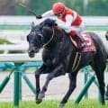 【しらさぎS】セレクト5.1億円のショウナンアデイブ 史上最高額のJRA重賞勝ち馬となるか