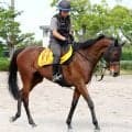 【府中牝馬Ｓ】キャリアハイの重賞６勝目にニシノティアモと挑む津村明秀騎手「取りに行きたい」と色気十分