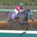 史上最多ＪＧ１・９勝のオジュウチョウサンが３９頭目の顕彰馬選出　石神深一元騎手「本当に人の心を動かす馬」