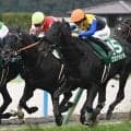 【しらさぎS】田口貫太騎手がJRA重賞初制覇なるか 京都金杯覇者のブエナオンダで挑む
