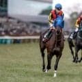 【府中牝馬S予想オッズ】ヴァルキリーバースが予想1番人気