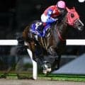 【川崎・川崎スパーキングスプリント結果】ハーフブルーが逃げ切って重賞2勝目を挙げる