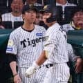 【阪神】立石正広４三振に藤川監督「１人ずつ選手の成長具合も違う。しっかり活躍できる選手に」