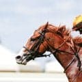 【クイーンアンS】単勝51倍の伏兵テンボブトニーが大金星、ノータブルスピーチは6着敗退…英ロイヤルアスコットが開幕