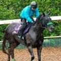 【ＱＥ２世ジュビリーＳ】ルガルが最終追い切り完了　鮫島駿騎手「馬もイライラしておらずハッピーです」