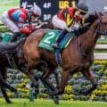 【府中牝馬S】半兄はフォーエバーヤング ブラウンラチェットが復活の重賞2勝目なるか