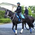 【注目馬動向】モックモックは繰り上がりなら帝王賞、除外なら阿蘇Ｓへ　ヤマニンウルスは昨年Ｖの東海Ｓが目標