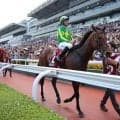 【QE2ジュビリーS】サトノレーヴ＆ルガル順調…世界の強豪撃破へ日本馬2頭が最終調整