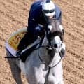 【府中牝馬Ｓ】「へぐったらジョッキーに怒られるので緊張した（笑）」父子重賞Ｖへ菊沢調教師がコガネノソラを万全仕上げ