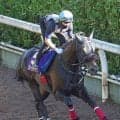 【注目馬動向】ジューンテイクは秋にバーレーン遠征などが選択肢　ジューンブレアは昨年２着のスプリンターズＳに直行