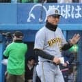失速した阪神は衝撃の「マイナス22.5」…交流戦 今年も強かったパ・リーグの優勢を示す“圧倒的数値”