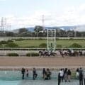 【園田・園田FCスプリント結果】フクノユリディズが逃げ切って重賞2勝目を挙げる
