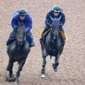 【府中牝馬Ｓ】好調！田中博厩舎の素質馬ヴァルキリーバースが長欠明けを叩いて上昇　陣営「使って型通り」