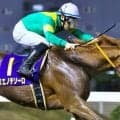 キタサンブラック×全日本2歳優駿覇者の良血 ラピッドテソーロがデビュー勝ちなるか