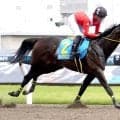 【川崎競馬】素質馬２頭が新馬戦勝ち。「折り合い面がもっと良くなればさらにいい」サンバルカンと「成長力がある」シゲキング
