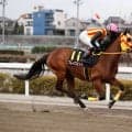 【グランダム・ジャパン】ブレイズエッジが3歳シーズン総合優勝…関東オークス3着でシリーズ女王に