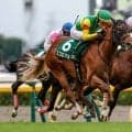 【しらさぎS枠順確定】エコロアルバは6枠11番、ファンダムは5枠9番
