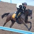 【府中牝馬Ｓ・枠順確定】舞台ベストのニシノティアモは４枠８番　菊沢父子で重賞連勝狙うコガネノソラは６枠１２番