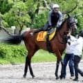 【府中牝馬Ｓ・金曜気配】ミアネーロは気合乗り良好！　気になる天候も林調教師は「Ｄコースなら馬場が...」