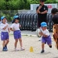 静岡ブルーレヴズ普及スタッフがこども園でラグビー体験事業　園児たちが全力タックル