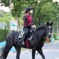 【ラジオＮＩＫＫＥＩ賞・水納の特注馬】叩き２戦目のバドリナートに期待　ホープフルＳは２冠馬ロブチェンと０秒４差