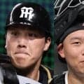 阪神 伏見＆嶋村の2捕手が登録抹消