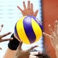 【ＳＶリーグ】東レアローズ静岡が外国籍選手の新加入を発表…カナダ代表・スカイラー・ヴァルガら３選手