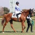 「早く完治しますように」「またレースで姿を見られることを…」骨片除去手術を受けた「ロイヤルファミリー」にエール