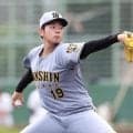 阪神　下村海翔が１軍に合流！２１日の２軍戦で７回１安打無失点の快投　伊原、梅野、浜田も甲子園に