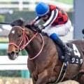 【函館記念】セレクト3.2億円のジュタ 史上最高額のJRA重賞勝ち馬になるか