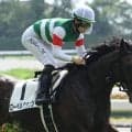 【ラジオNIKKEI賞予想オッズ】ローベルクランツが予想1番人気