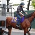 【函館記念】上がり馬フィーリウスが連勝中の勢いで初タイトルを狙う　陣営「使うたびに良くなって、成長しています」